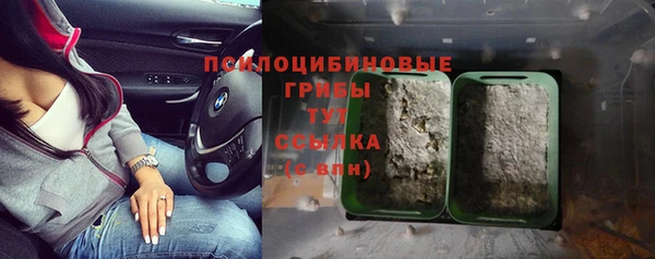 индика Абаза